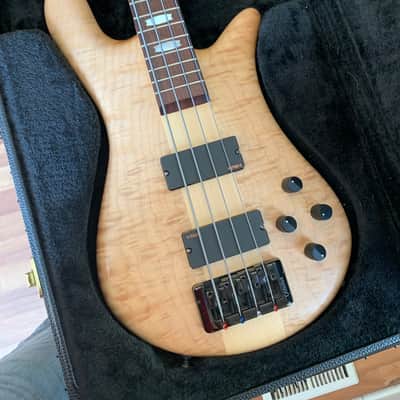 Spector Euro-LX 435 2009 35" Scale Hard Case image 7