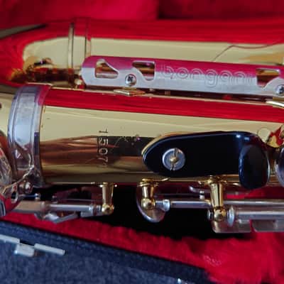 Borgani Vintage Alto Saxophone 1980 - Gold Lacquer with Nickel Silver Keys image 15