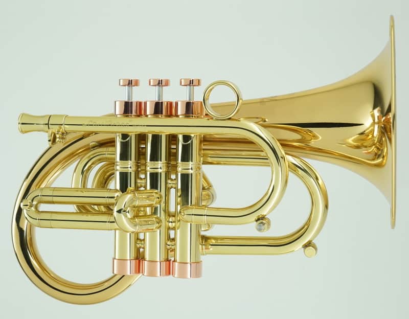 Carol Brass Compact Flugelhorn / Taylor Phat Puppy 2023 - Polished / Lacquered image 1