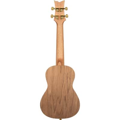 Ortega RUAR-EY Konzert-Ukulele B-Ware image 2