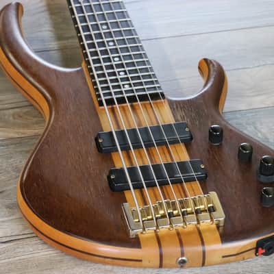 Awesome! Bill Moll Custom 6-String Electric Bass Guitar + Coffin Case image 5