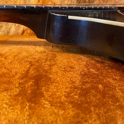 Gibson  A style  Mandolin 1921 - Black image 12