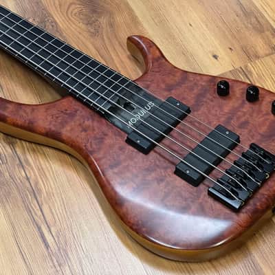 Modulus Quantum 5-35  Fretless - Bubinga image 5