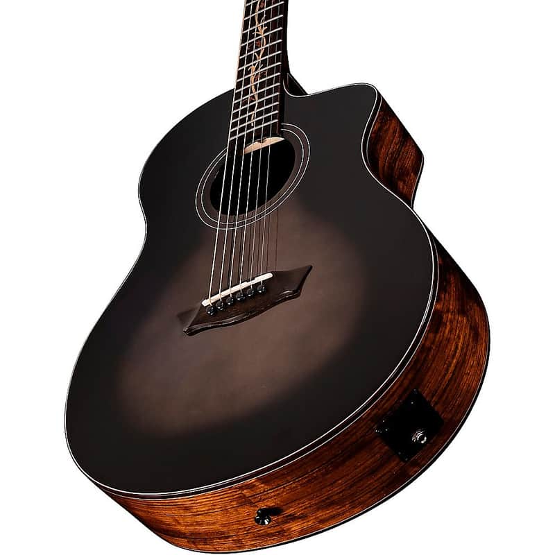 Washburn Bella Tono Vite S9V image 3