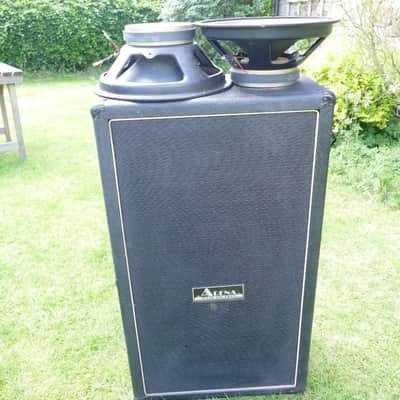 Arena Sound and Light Twin Speaker Cabinet Including Two 12" Speakers image 6
