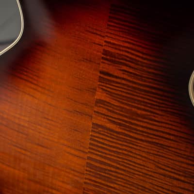 Gretsch Broadkaster® LX Figured Center Block with String-Thru Bigsby® - Havana Burst image 19