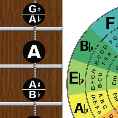 Laminated 4 String Bass Fretboard Chart Poster Nashville Numbering Theory 11x17 Beginner Easy image 7