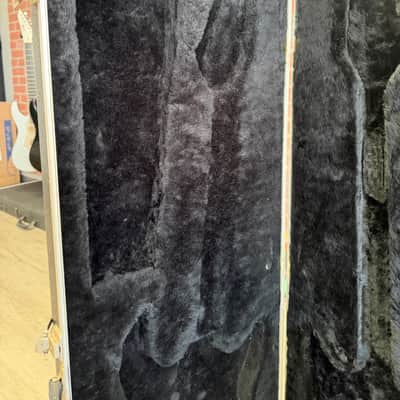 Peavey Nitro S Type Case image 7