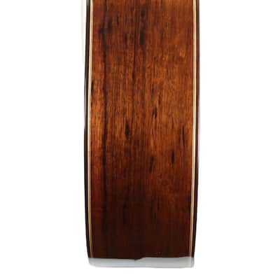 Antonio de Toledo "Ramirez" SP Elevated Fretboard image 6