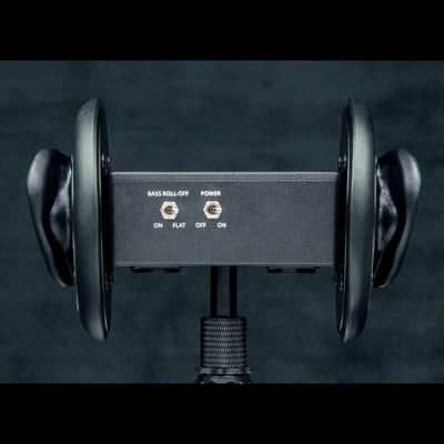 3Dio FS Pro II Binaural Microphone (ex. VAT) image 4