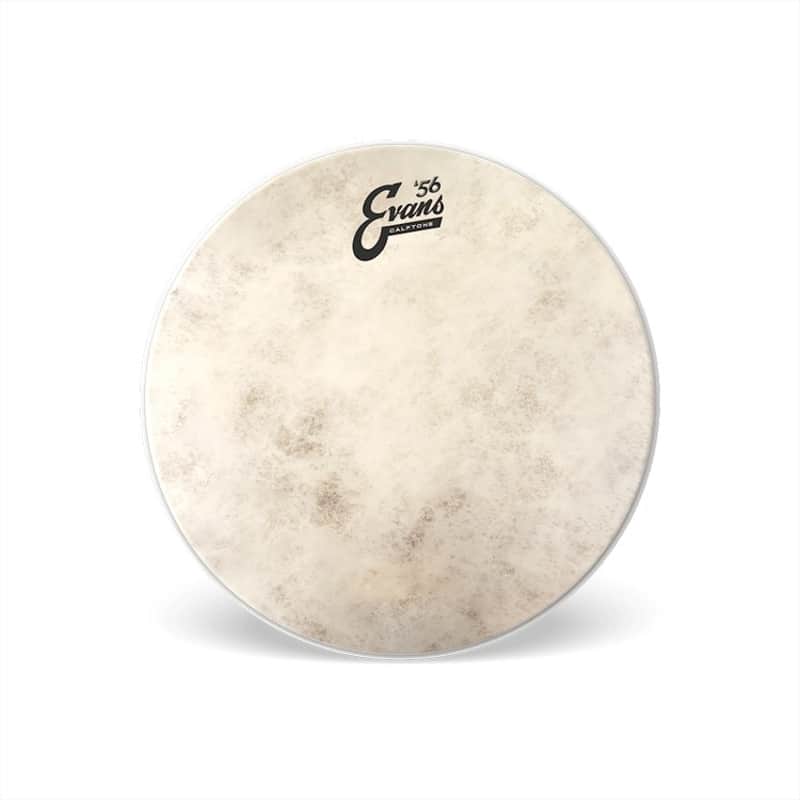 Evans TT14C7 Calftone Tom Batter 14 inch image 1