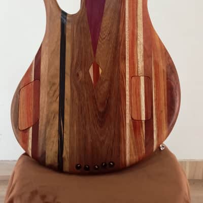 Thompson tribute Bassovarius #2 "Full Rainbow"5 strings bass image 6