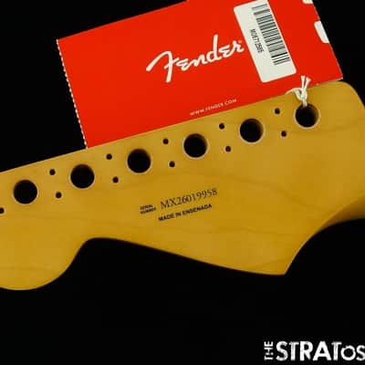 Fender Player II Modified Stratocaster Strat, BODY & NECK Alder Electric Blue image 9