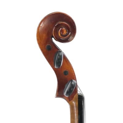 Violin 4/4 ''Bellissimo'' image 8