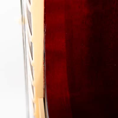 Gibson Les Paul Studio Session, Bourbon Burst | Demo image 17