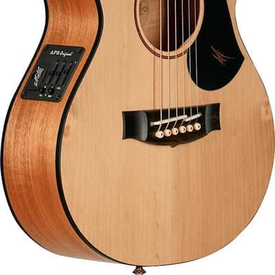 Immagine MATON EM6 w/Case - 2