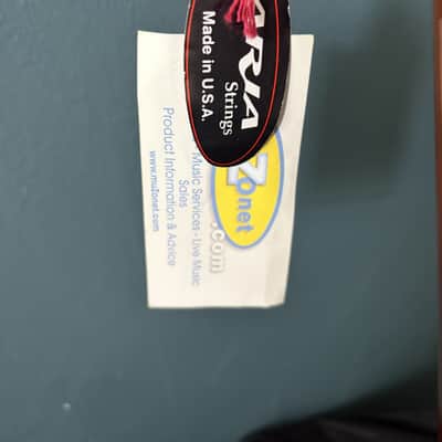 Aria 12 string Dreadnought AW 20 - T - N image 4