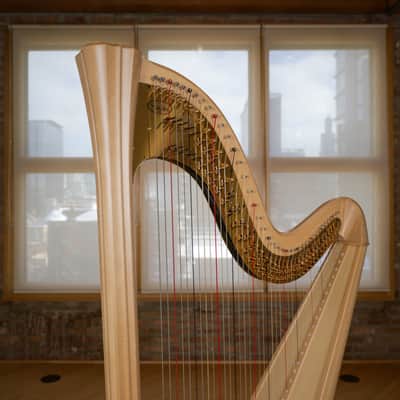 Salvi Daphne 40 Pedal Harp 2019 - Natural image 5