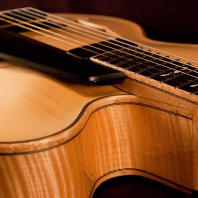 Buscarino Custom Artisan (2010) image 13