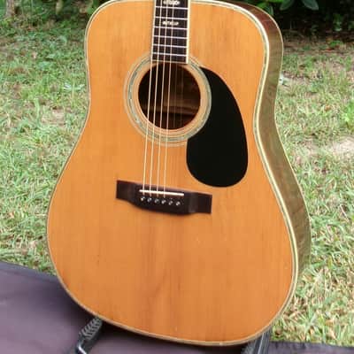 1974 Yairi YW-600 Dreadnought Guitar New Jacaranda Natural+vintage Hard Case image 4