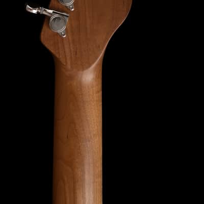Paoletti Richard Fortus Signature #3 image 18