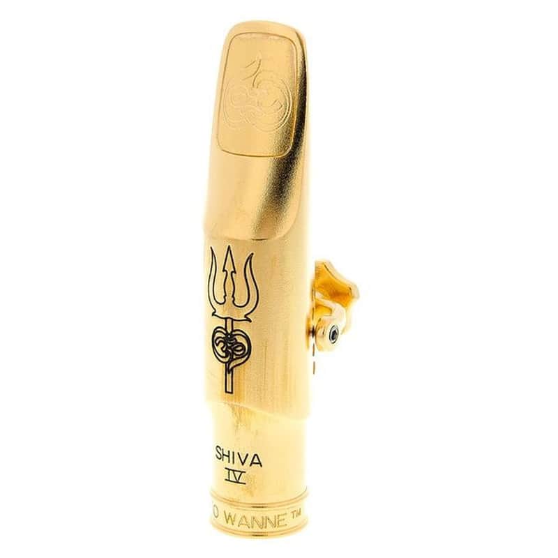 Bocchino Sax Tenore Theo Wanne Shiva 8* image 1