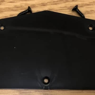 2016 Epiphone Les Paul Special II Control Cavity Cover With Screws image 1