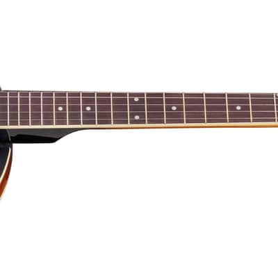 Adam Black BJ-02 5-String Banjo Vintage Sunburst image 2