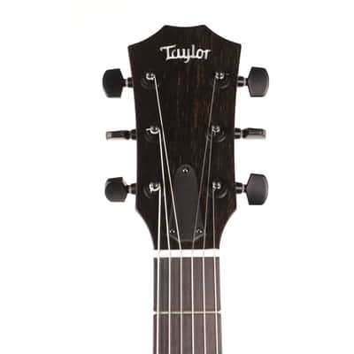 Taylor T5z Classic Koa Top Shaded Edgeburst image 6