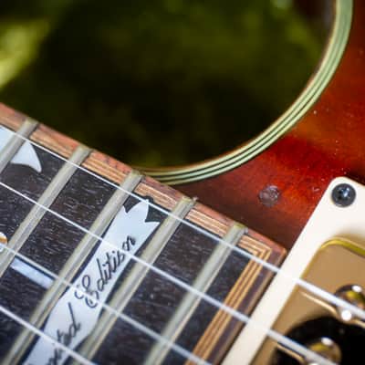 Ibanez AR5000-AV Artist 1981 image 10