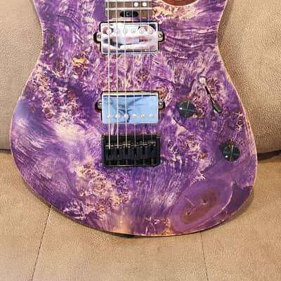 Eart  Explorer 1  Purple image 2