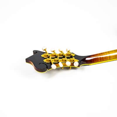 Flatiron F5 Master Model Owned by Matt Freeman Of Rancid image 7