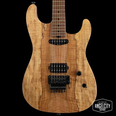 Luxxtone electric guitars for sale in USA | guitar-list