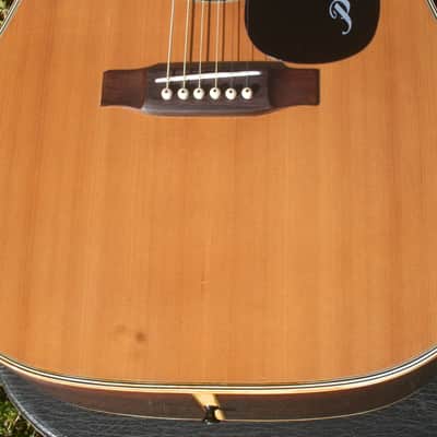 1971 Pearl PF-770 by Hayashi Gakki Natural image 17