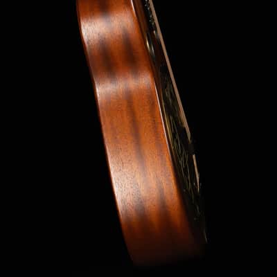 Beard Trailhead Mahogany, E Body Round Neck, Tobacco, Fishman Nashville Pickup - NEW image 7