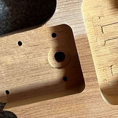 Fender American Professional II Telecaster guitar body image 2