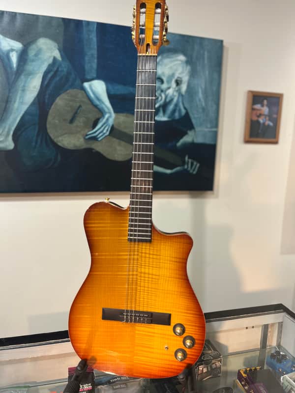 Carvin NS-1 5A Flame Sunburst - Sunburst image 1