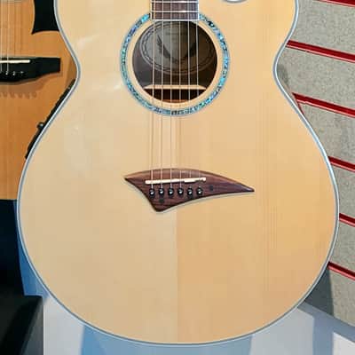 DEAN Performer E GN Spruce Top Mahogany Body Acoustic Guitar EQ-7545 w/Gig Bag image 2