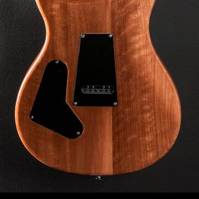 PRS SE Custom 24 2017 - 2019 - Trampas Green image 4
