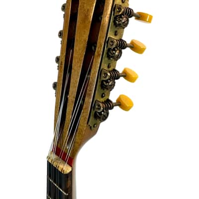 Gelas Type Double-Top ConcertMandolin (J. Rowies Label) 1927 image 15