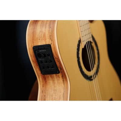 Ortega Signature Series Thomas Zwijsen Acoustic-Electric Nylon Classical Guitar w/ Bag image 19