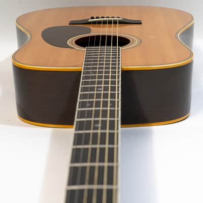 Morris W-50H W-50 Acoustic Guitar - Made In Japan - Natural