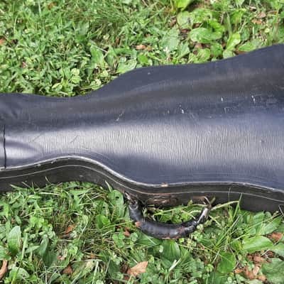 Russian Viola, Vsevolod Zhukovski, Maker, 1988, Maryina Horka, 16" Body, Case image 13