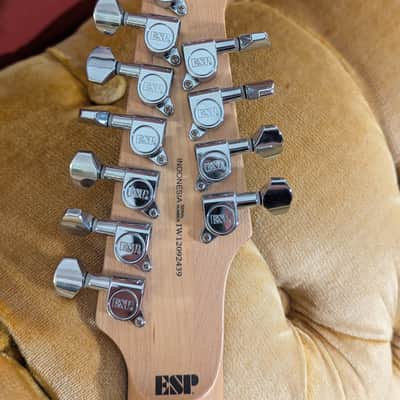 ESP LTD XJ-12 2012 - 2-Tone Burst image 10