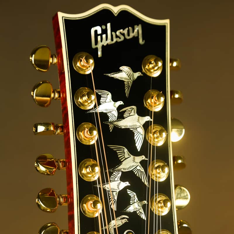 Gibson Doves in Flight 12 String Rare Custom Acoustic Guitar imagen 1