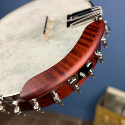Custom Deering Eagle II 19-Fret Tenor Openback Banjo image 17
