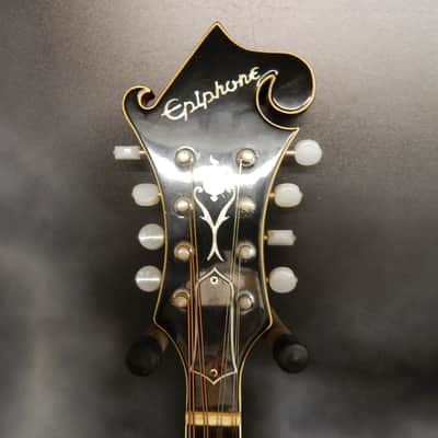 Epiphone Bg-440 Florentine Mandolin image 3