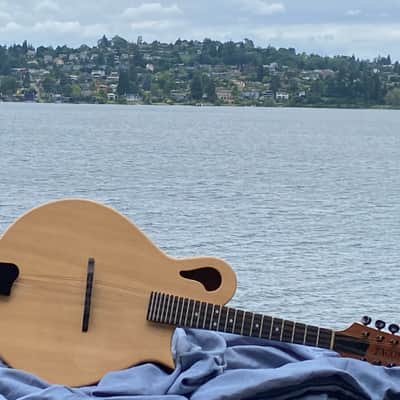 Tacoma Mandolin image 3
