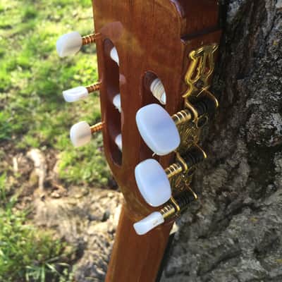 Jose Ramirez R1 Classical Guitar - Solid Cedar Top image 9