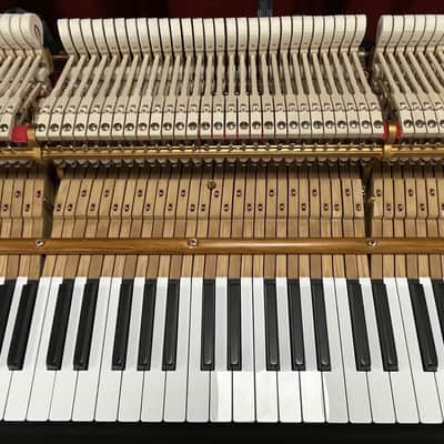 Steinway Model O 5'10" Grand Piano 1901 (Restored) - Polished Ebony image 17